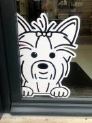 chien